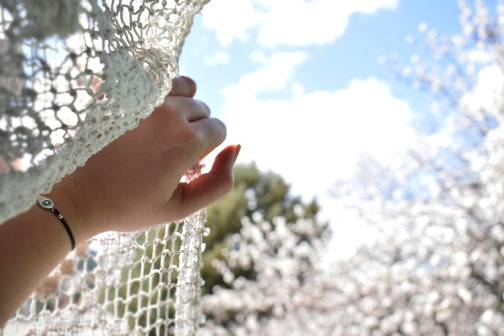 beautiful, nature, outdoors, tree, lifestyle, season, girl, summer, relaxation, freshness, woman, people, young, spring, flower background, flower, floral, bloom, sunny, sun, flower wallpaper, beautiful flowers, morning, window, curtain, view, hand